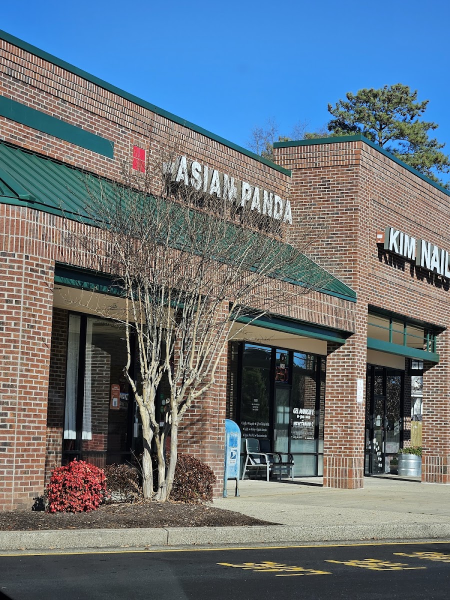 New Asian Panda Photos 2